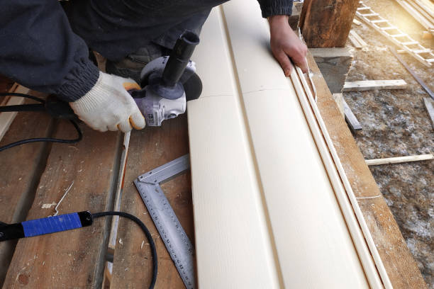 Best Custom Trim and Detailing for Siding  in Sterling Ranch, CO