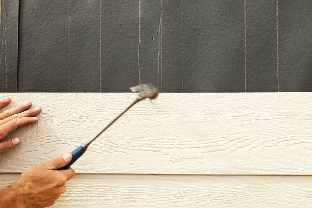 Best Brick Veneer Siding  in Sterling Ranch, CO